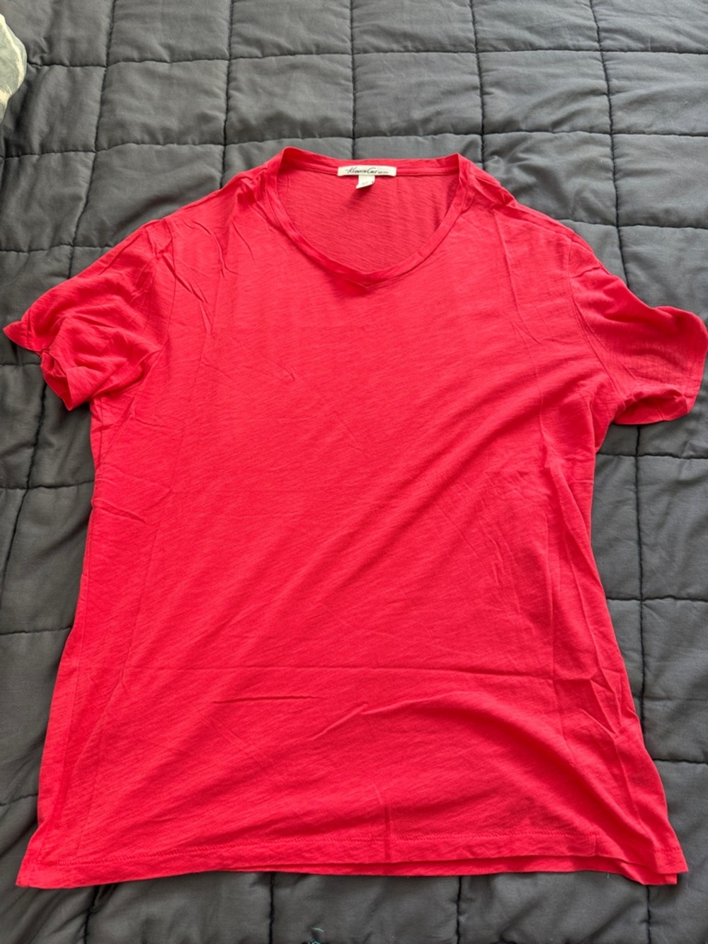 Large Kenneth Cole New York Men's Short Sleeve V-Neck T-Shirt